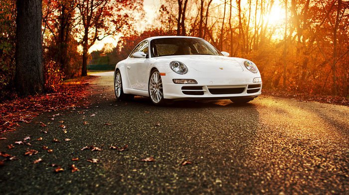 Porsche, road, autumn, cars