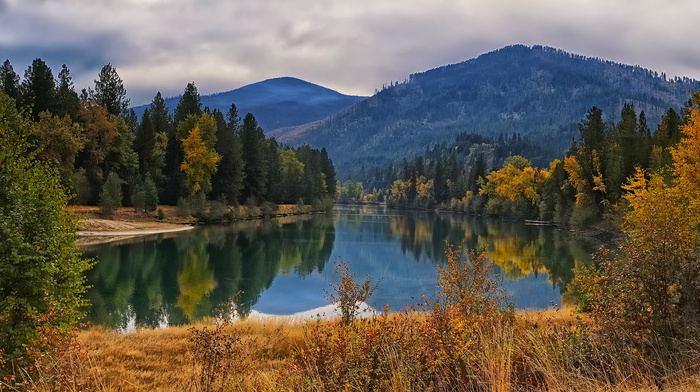 mountain, nature, forest, lake