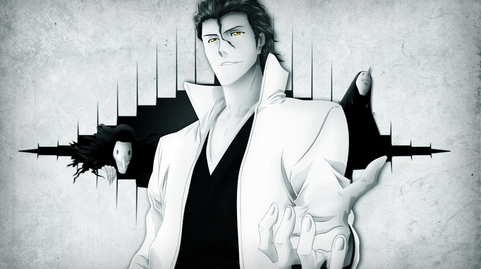 anime, Sousuke Aizen, Bleach