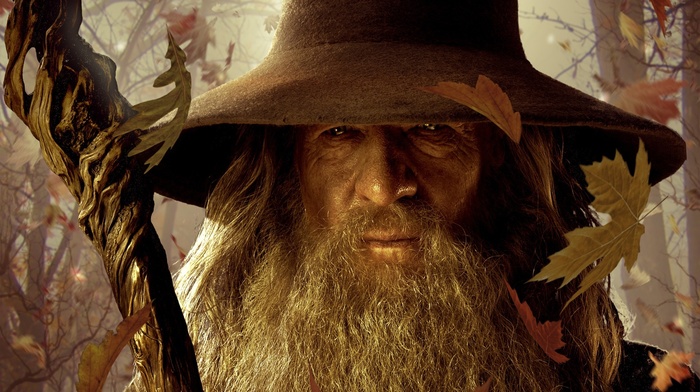 The Lord of the Rings, Ian McKellen, the hobbit, gandalf