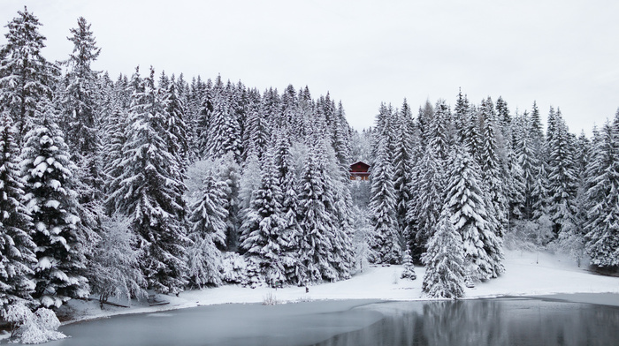 Switzerland, lake, winter, nature, trees, forest, snow, lodge