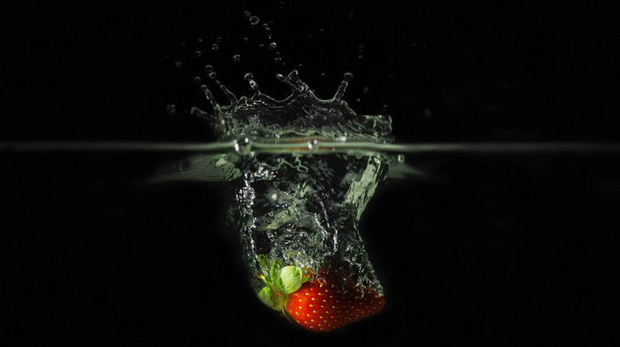 macro, water