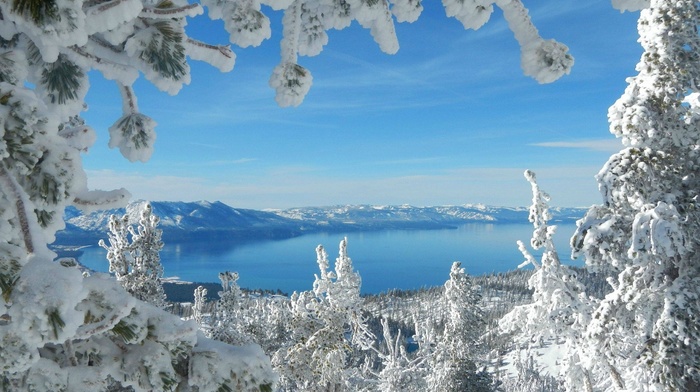 lake, winter, frost, forest, mountain, snow