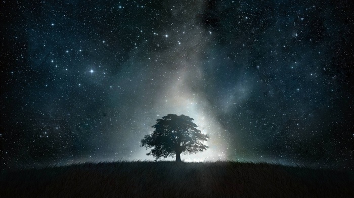 stars, tree, sky, field, space, stunner, landscape