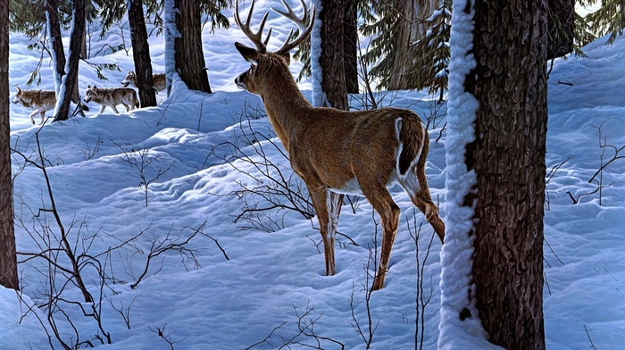 deer, snow, forest, animals