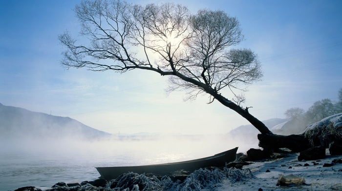 tree, boat, nature, lake