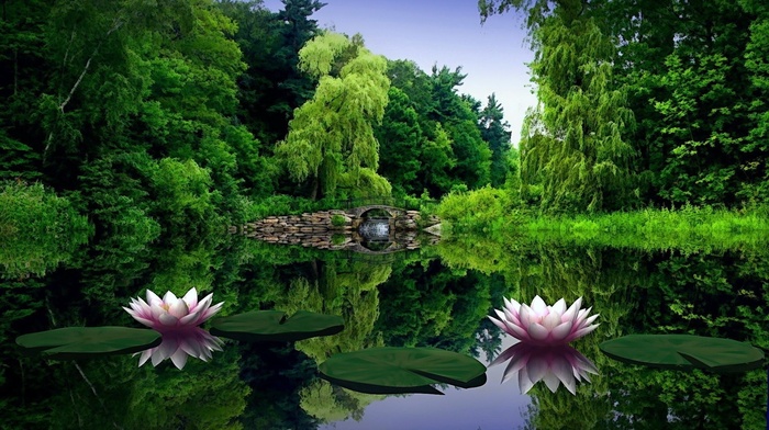 photoshop, nature, lake, pond, trees, stones, bridge, flowers