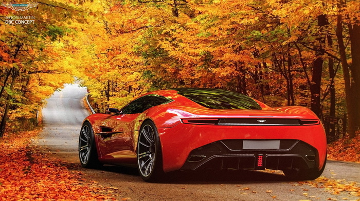 forest, speed, autumn, road, cars, Aston Martin, trees