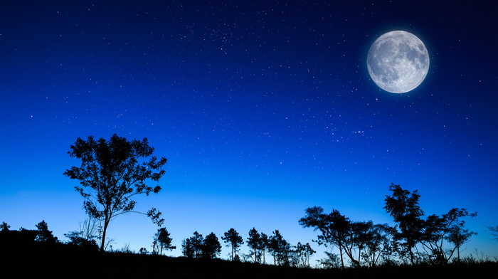 nature, trees, moon, sky