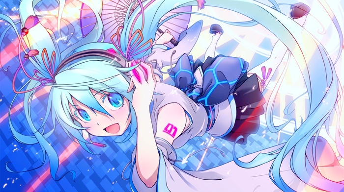 Vocaloid, Hatsune Miku, anime