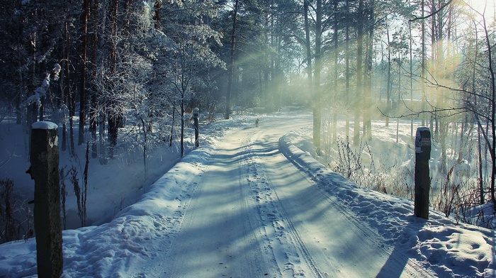 winter, snow