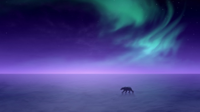 landscape, polar bears, sky, horizon, snow