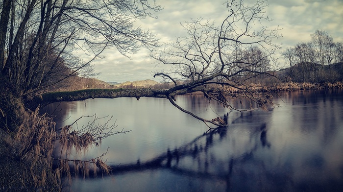 landscape, lake, trees, winter, nature