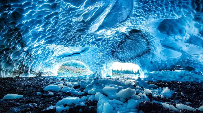 forest, background, nature, cave