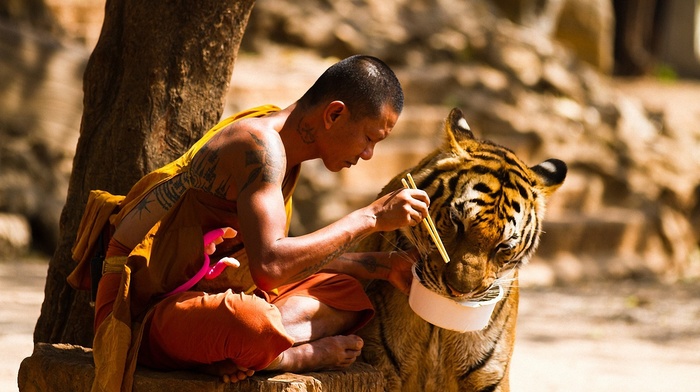 monks, trees, animals, sitting, tattoo, chopsticks, tiger, eating