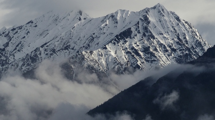 mountain, winter