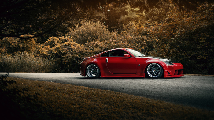 auto, road, forest, sportcar, wheels, red, cars