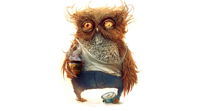 owl, coffee, morning