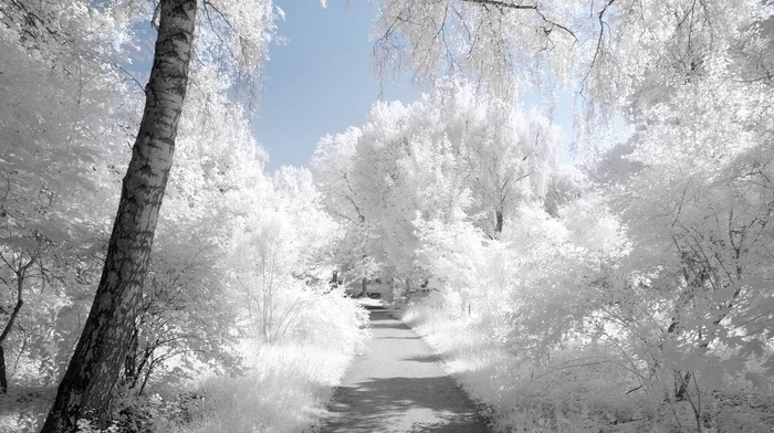 nature