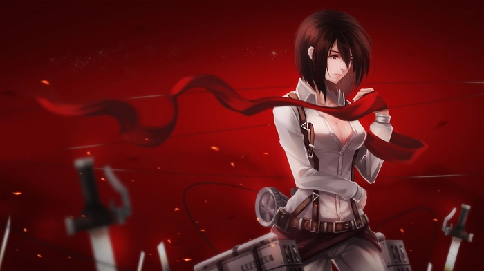 Mikasa Ackerman, anime, anime girls, Shingeki no Kyojin