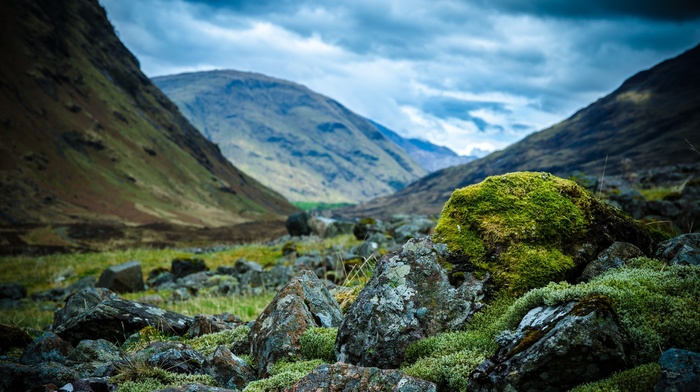 moss, mountain, nature, stones, landscape