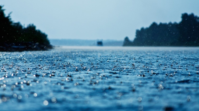 water drops, rain, water