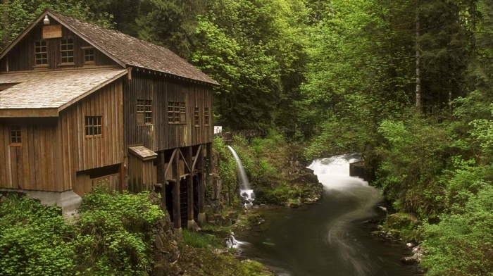 nature, river, forest, landscape