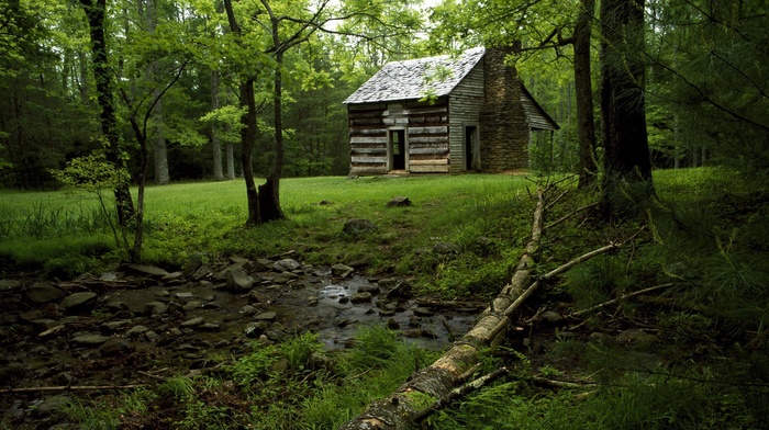 nature, landscape