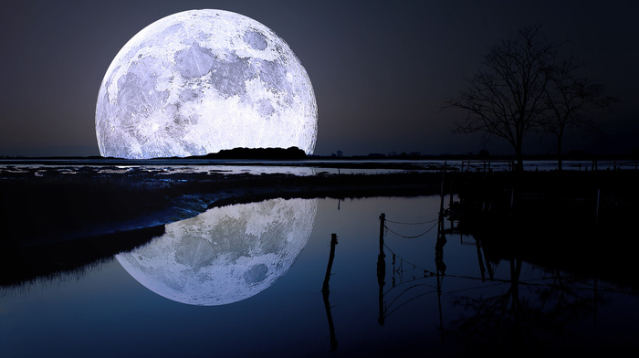 reflection, nature, river, light, moon, trees, night, sky