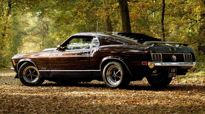 Ford Mustang, fastback mach 1, Ford, car, muscle cars