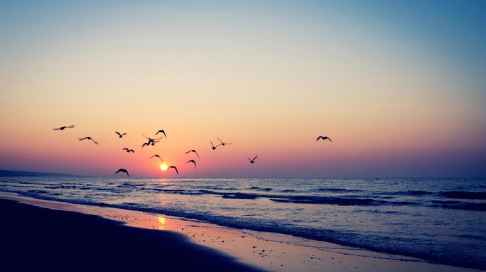 beach, sea, sunset