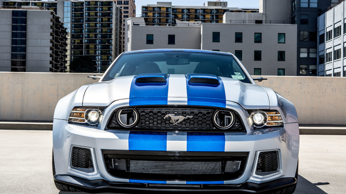 blue, automobile, cars, gray, mustang, tuning, houses, horse, sportcar