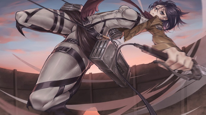 Mikasa Ackerman, Shingeki no Kyojin, anime, anime girls