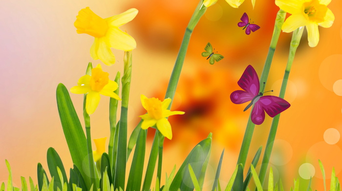 flowers, background, yellow, spring