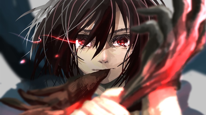 Mikasa Ackerman, anime girls, anime, Shingeki no Kyojin