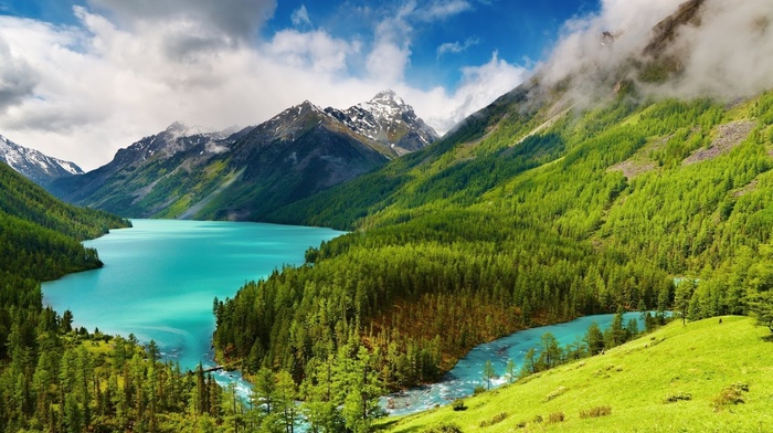 forest, mountain, sky, clouds, greenery, lake, nature, beauty