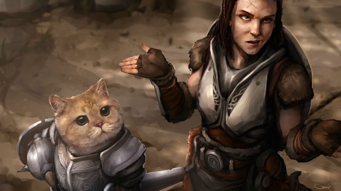 the elder scrolls v skyrim, video games, lydia, cat