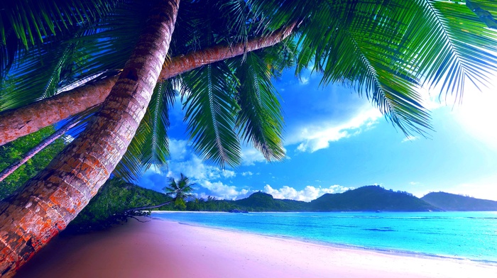 beach, jungle, palm, ocean, sand, mountain, summer, clouds, nature, sky