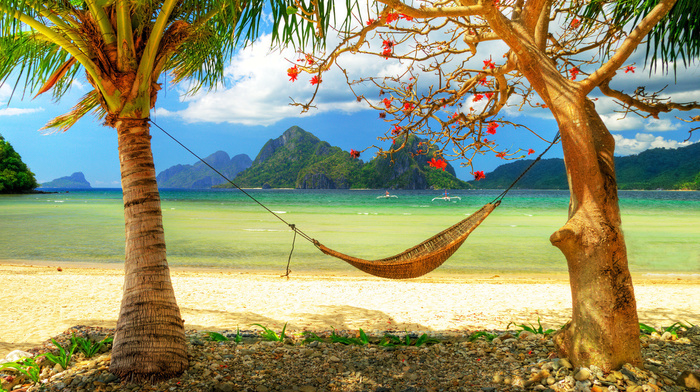 greenery, palm trees, flowers, rest, stunner, ocean, beauty, summer, mountain, beach