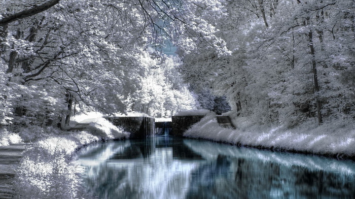 snow, water, beauty, reflection, winter, trees