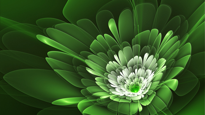 green, flower, background, abstraction, white