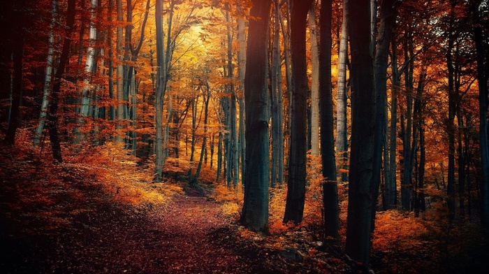 nature
