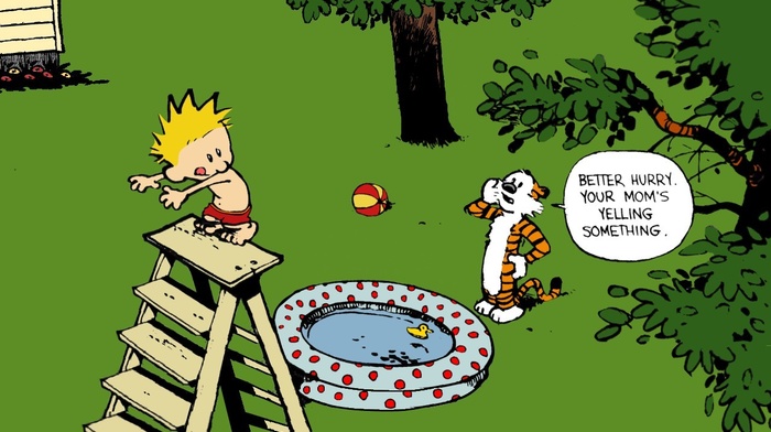 Calvin and Hobbes