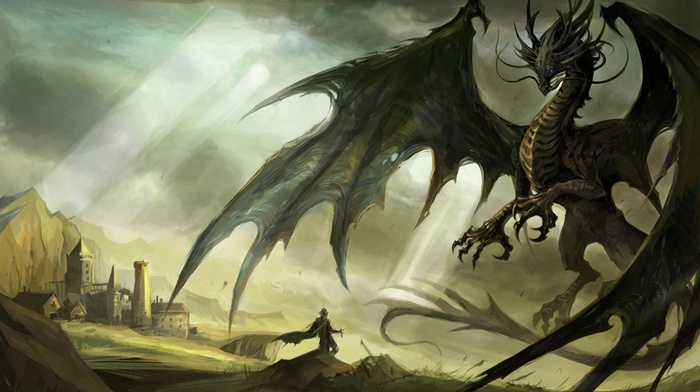 artwork, dragon