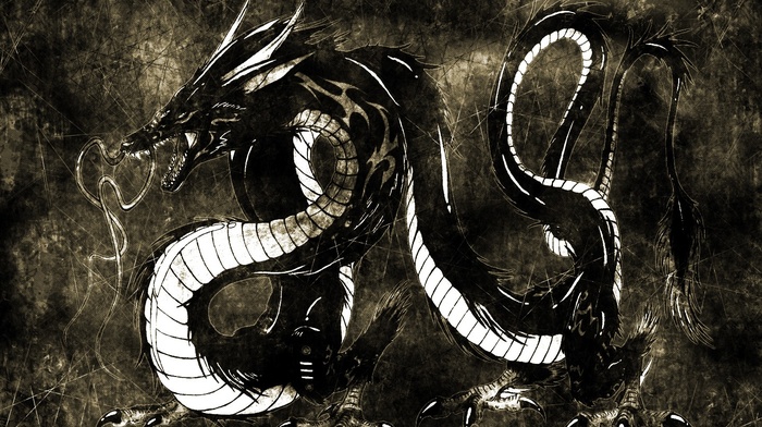 dragon, artwork