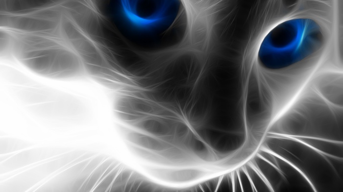 fractalius, cat, blue eyes