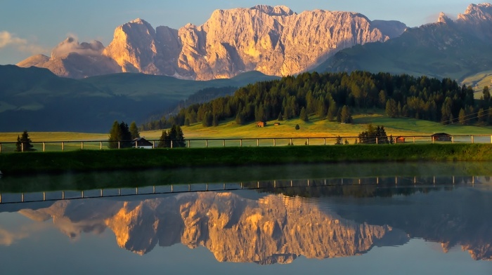 nature, forest, mountain