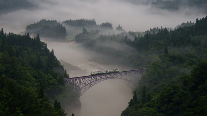 landscape, train, nature, photo, mountain, river, bridge, mist