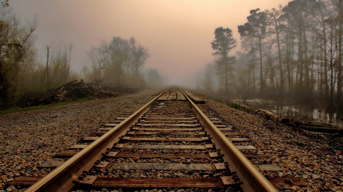 trees, mist, leaves, railway