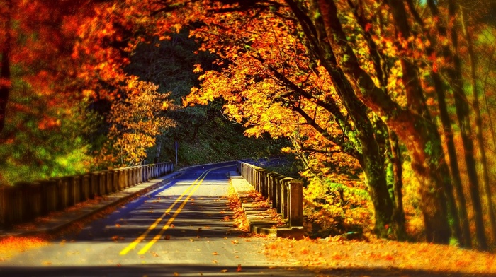 road, fall, bridge